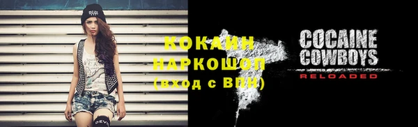 кокс Ельня