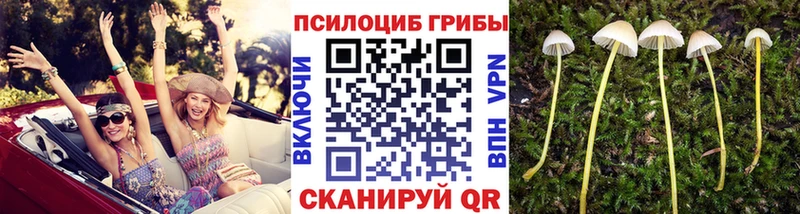 Галлюциногенные грибы MAGIC MUSHROOMS Лодейное Поле