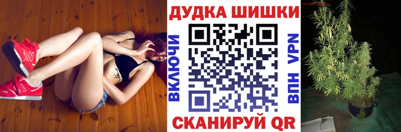Купить  Лодейное Поле  Бошки Шишки ГИДРОПОН 